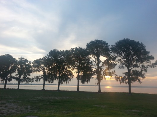 Another gorgeous sunrise.